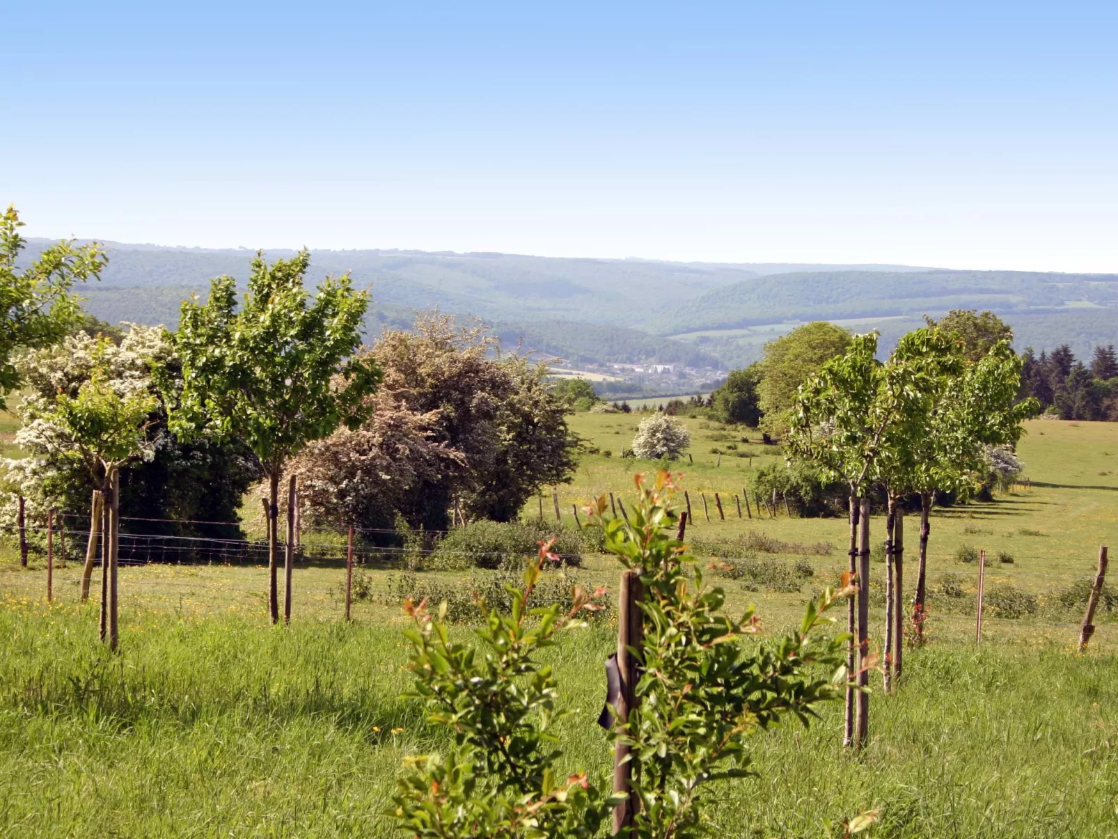 Gîte rural Mamijana-Outside