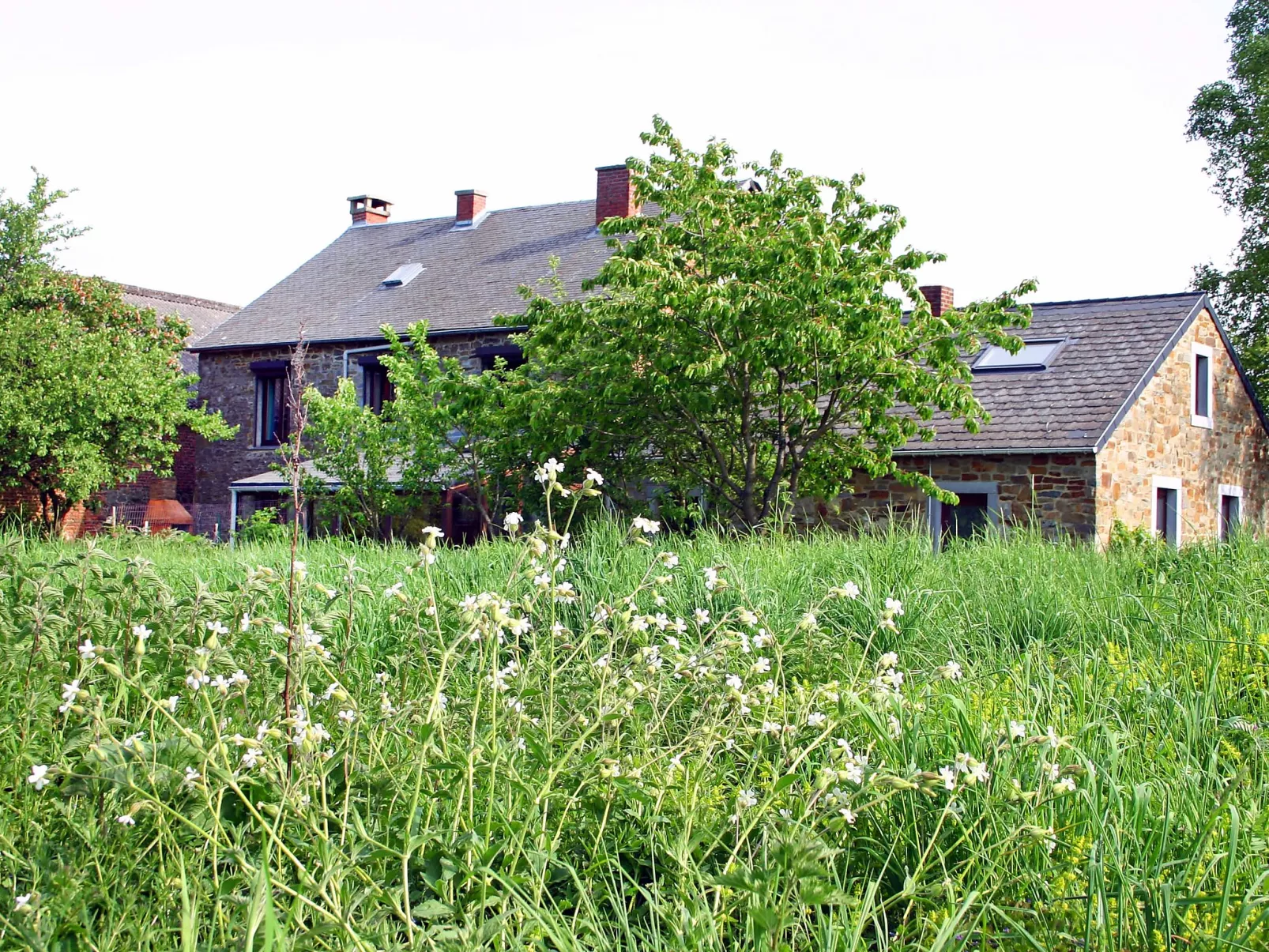 Gîte rural Mamijana-Outside