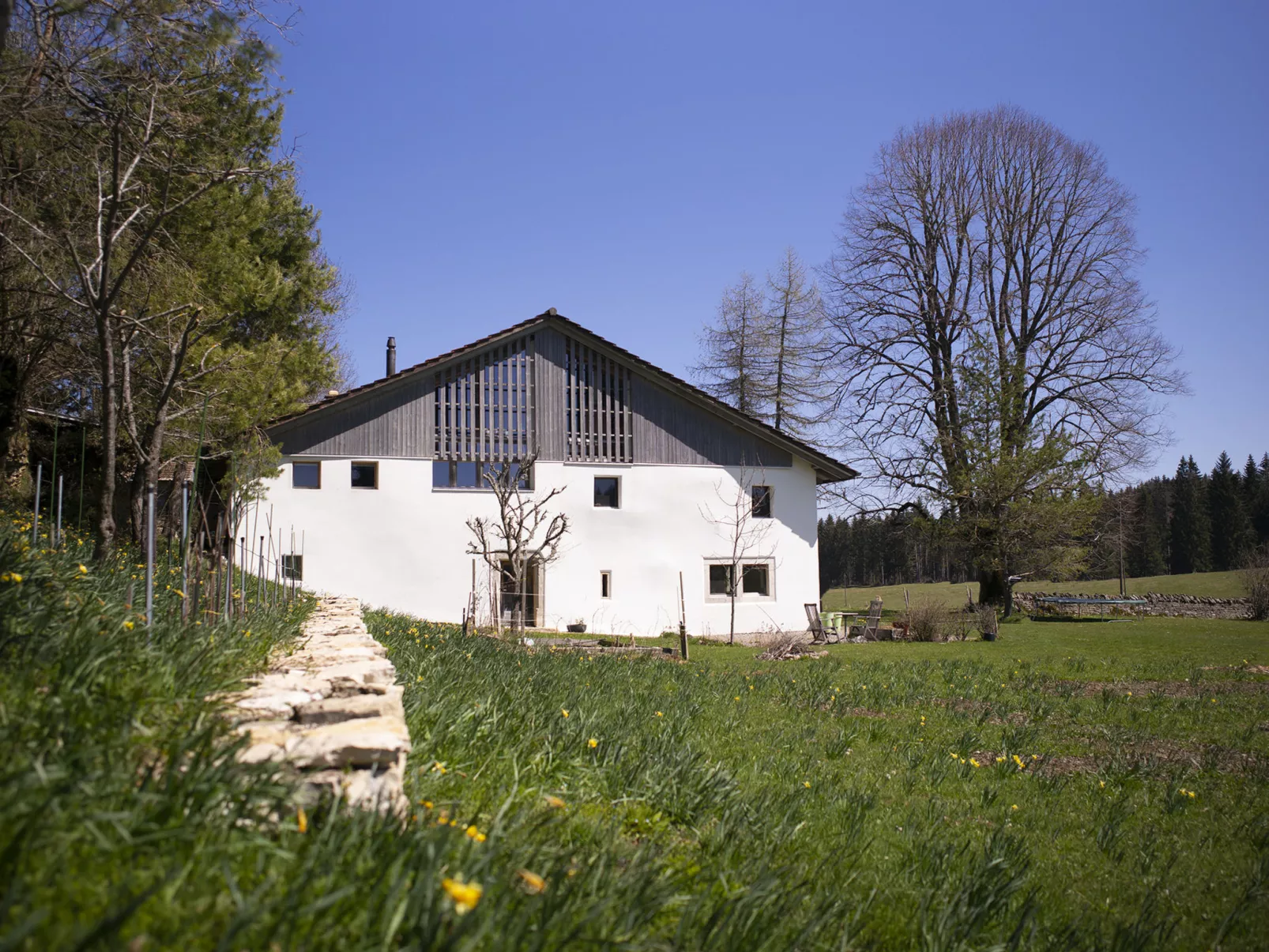 Appartement - N°5-Outside