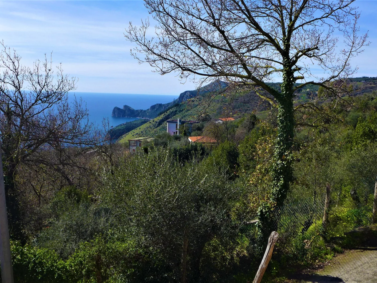 Villa Ofelia-Outside