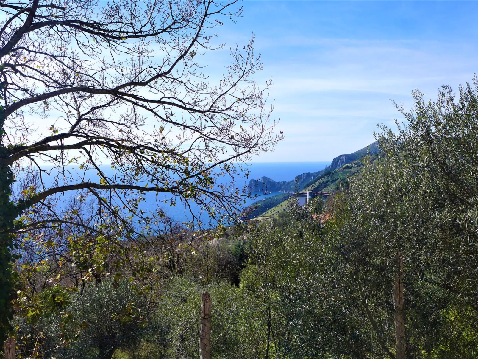 Villa Ofelia-Outside