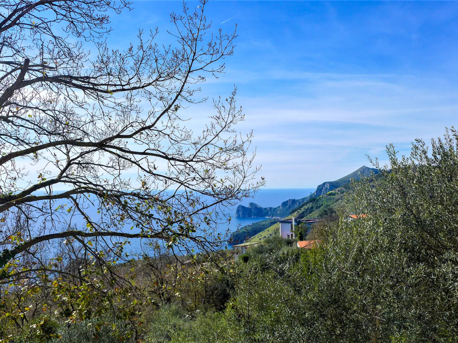 Villa Ofelia-Outside