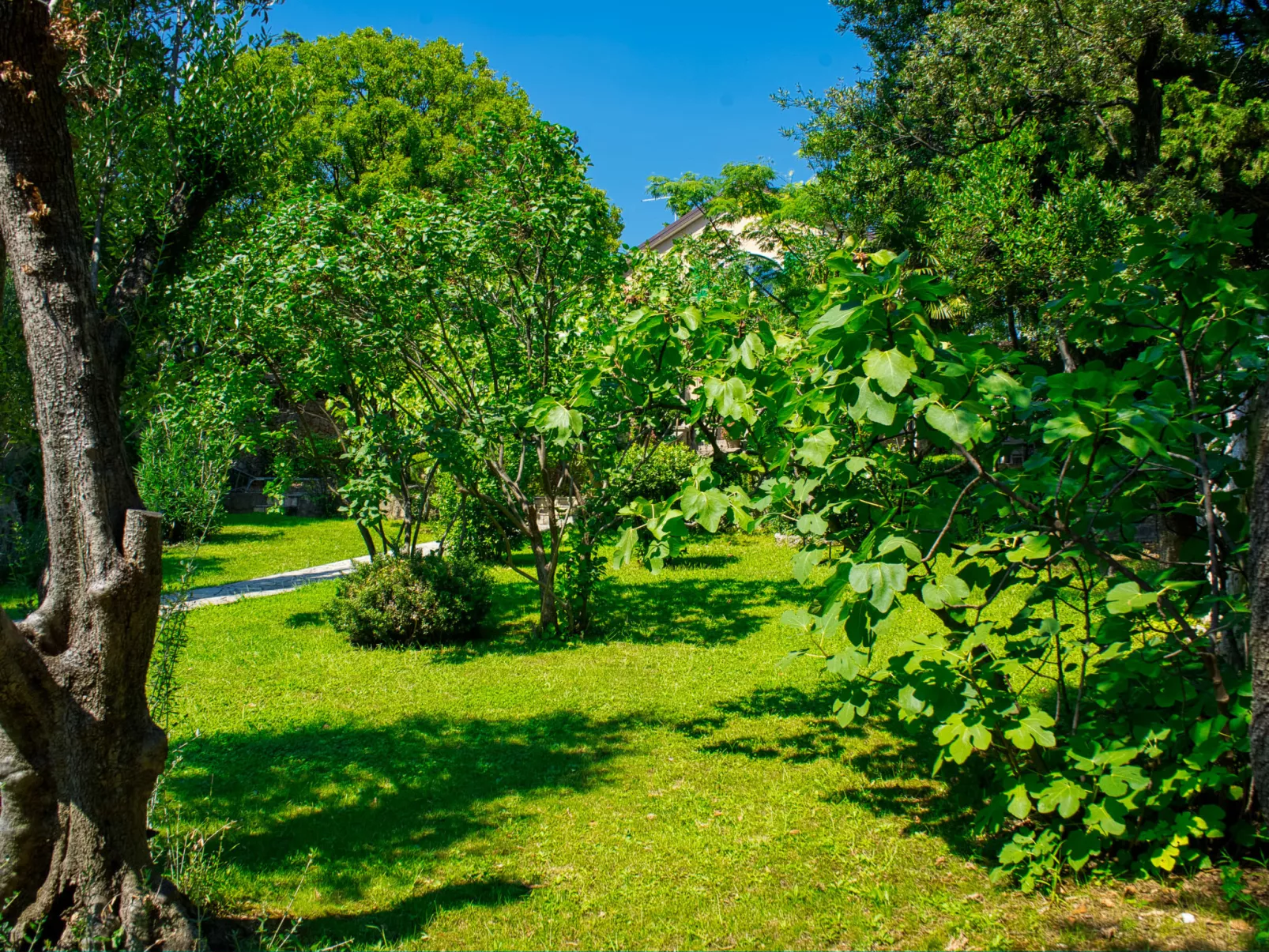 Villa Mo-Re-Draußen