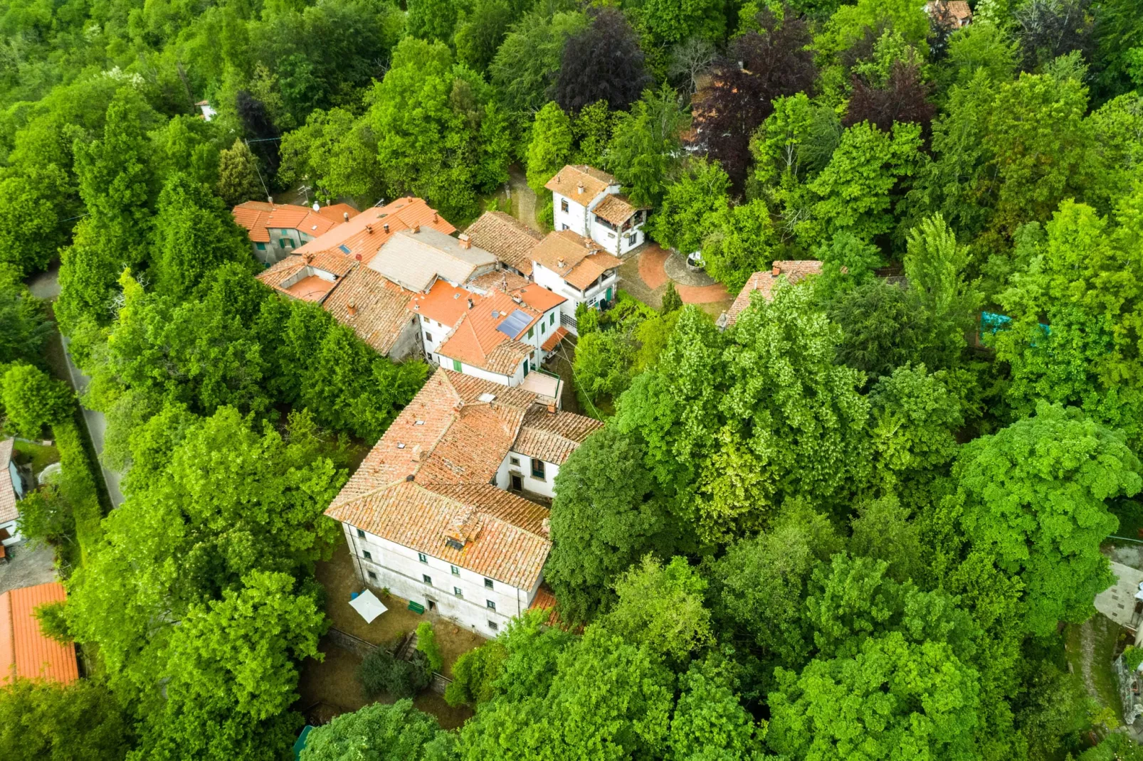 Chiostro-Areas summer 1km