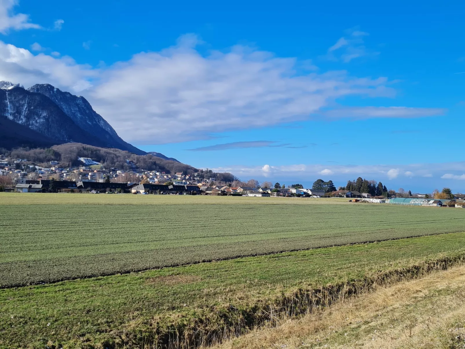 Tasman S16/R-Area