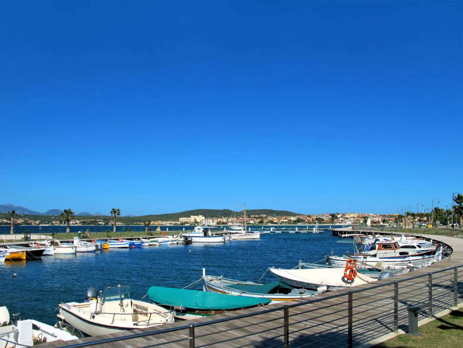 Iride-Area