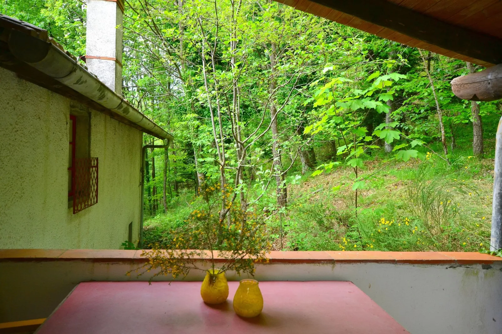 Birilli-View summer