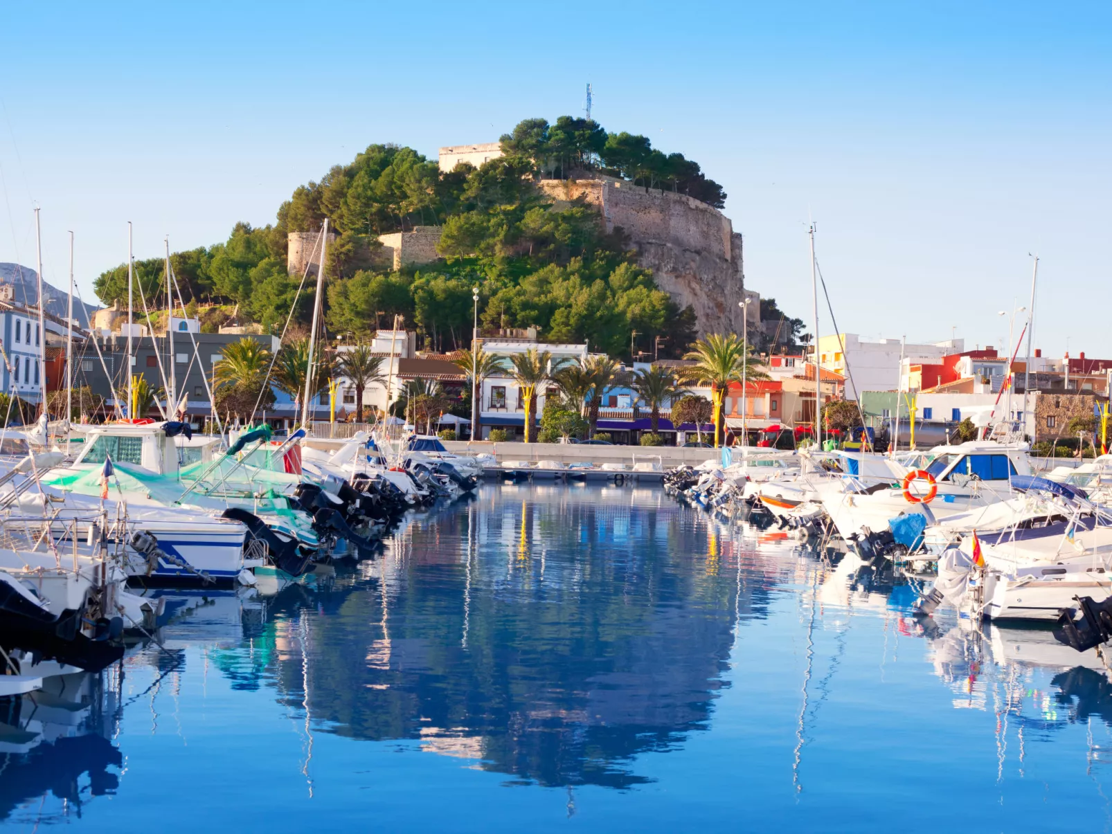 Marina Raset-Area