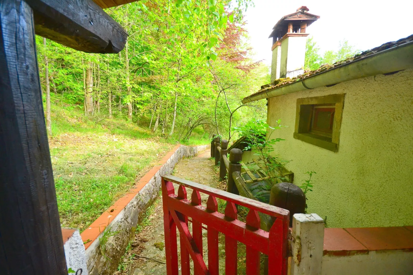 Birilli-Gardens summer