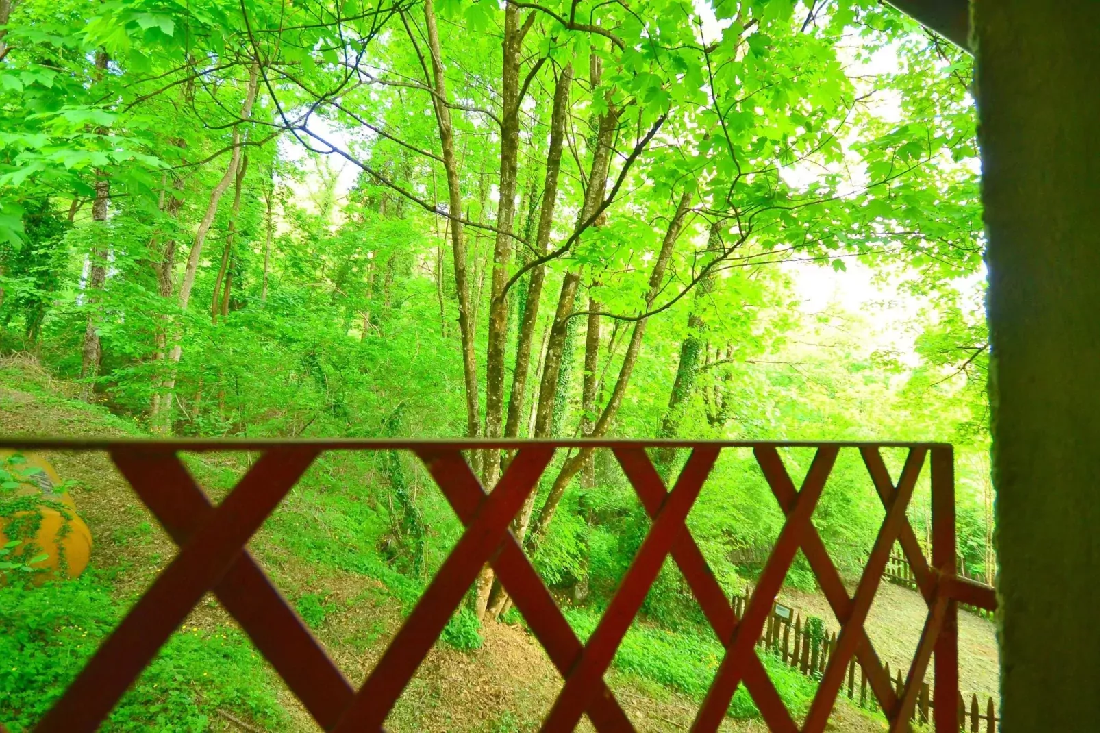 La Loggia-View summer
