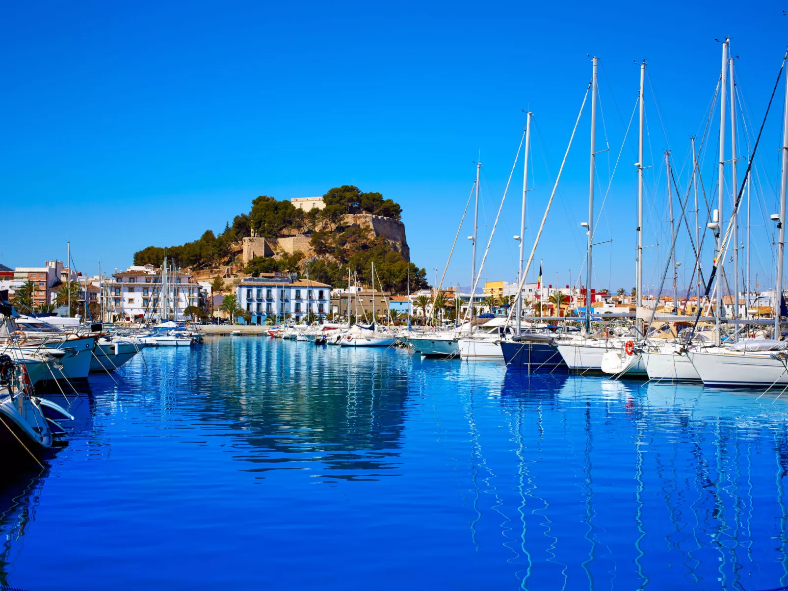 Puerto Denia Cervantes-Area