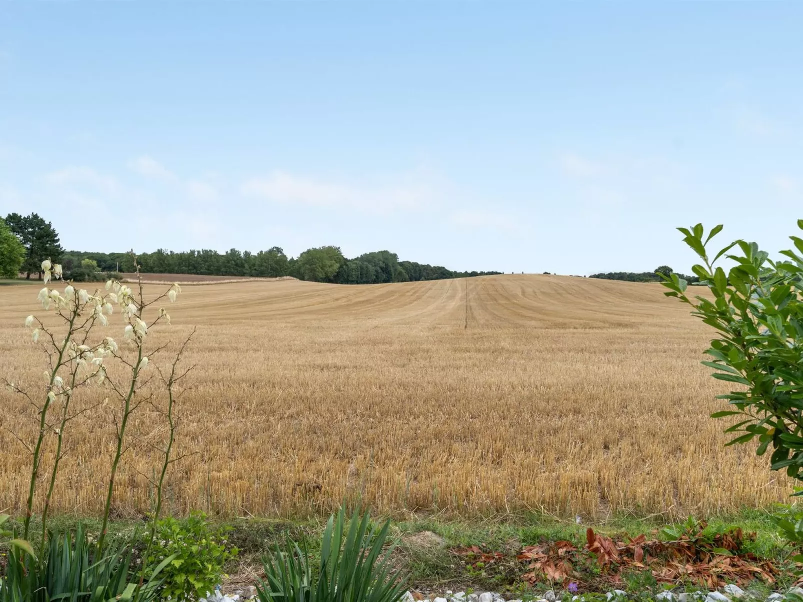 "Asya" - 600m from the sea-Draußen