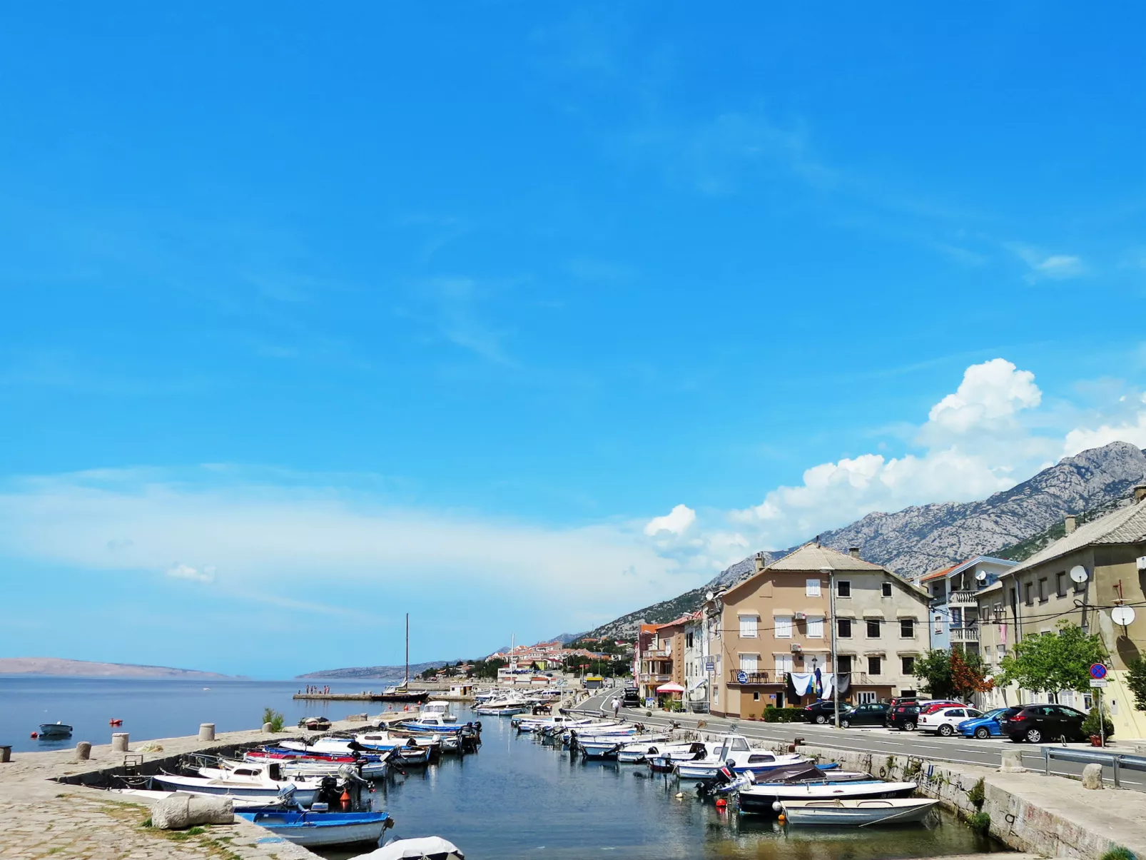 Delfin-Area