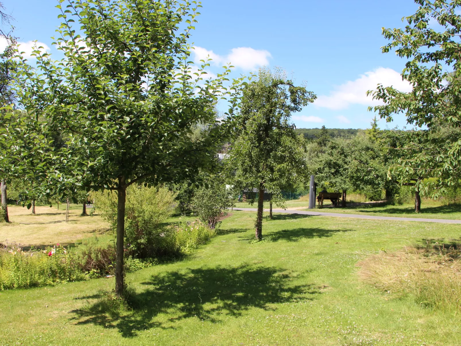 Tiny Haus Westerwald 16 Red-Area