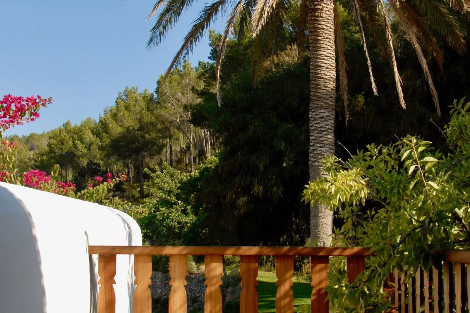 Finca Planetas-Untagged
