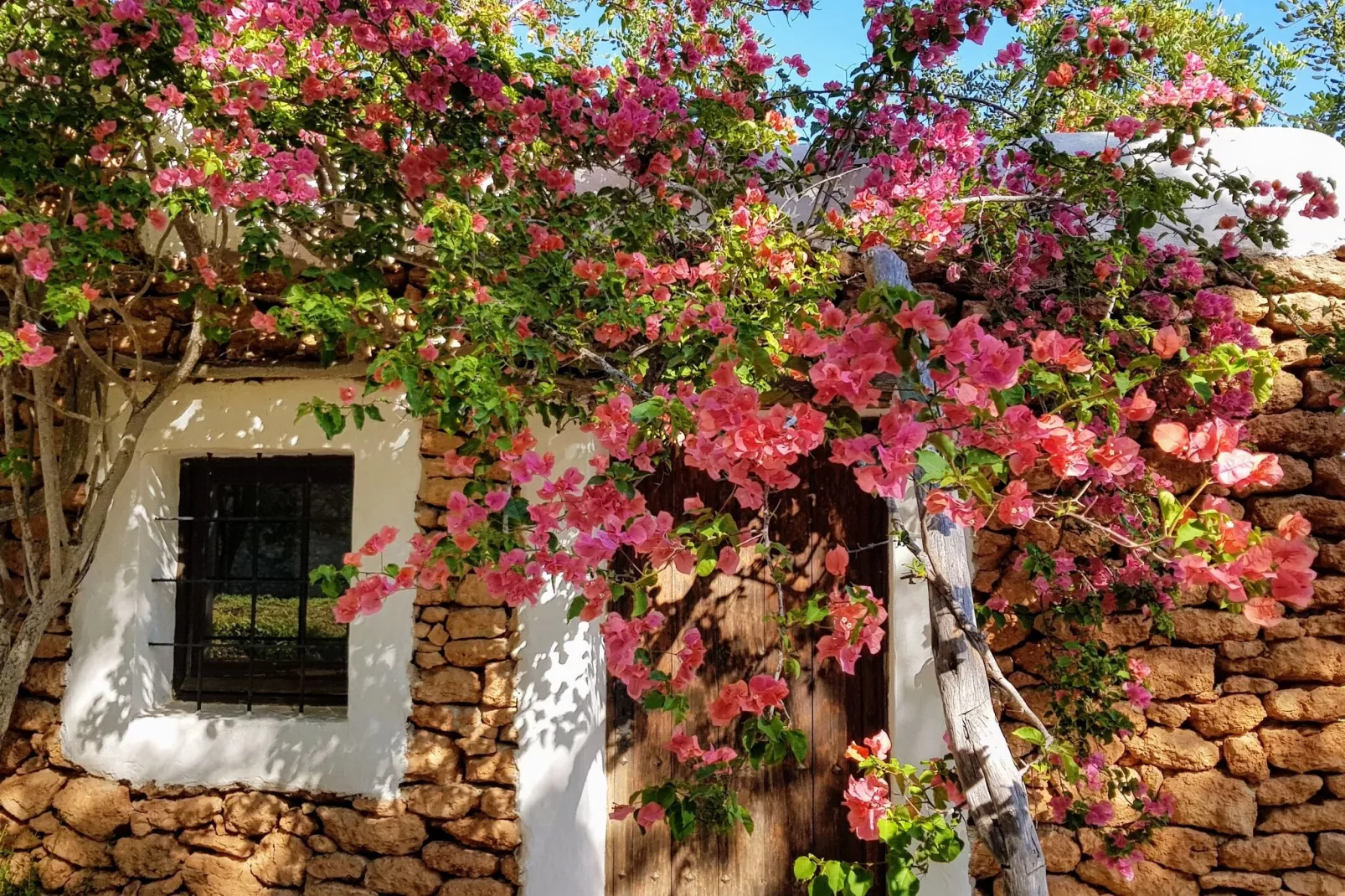 Finca Planetas-Untagged