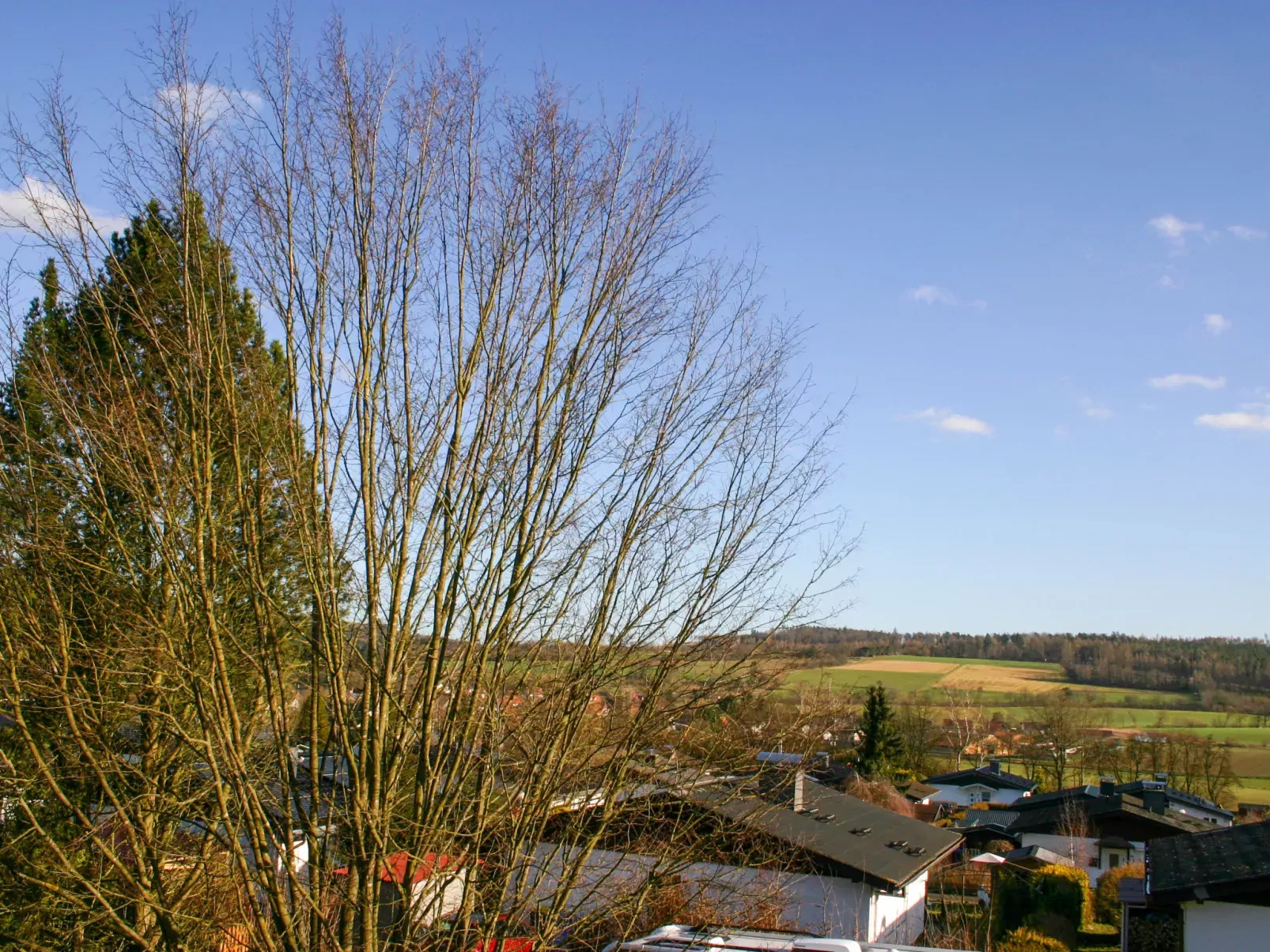 Andrea-Draußen
