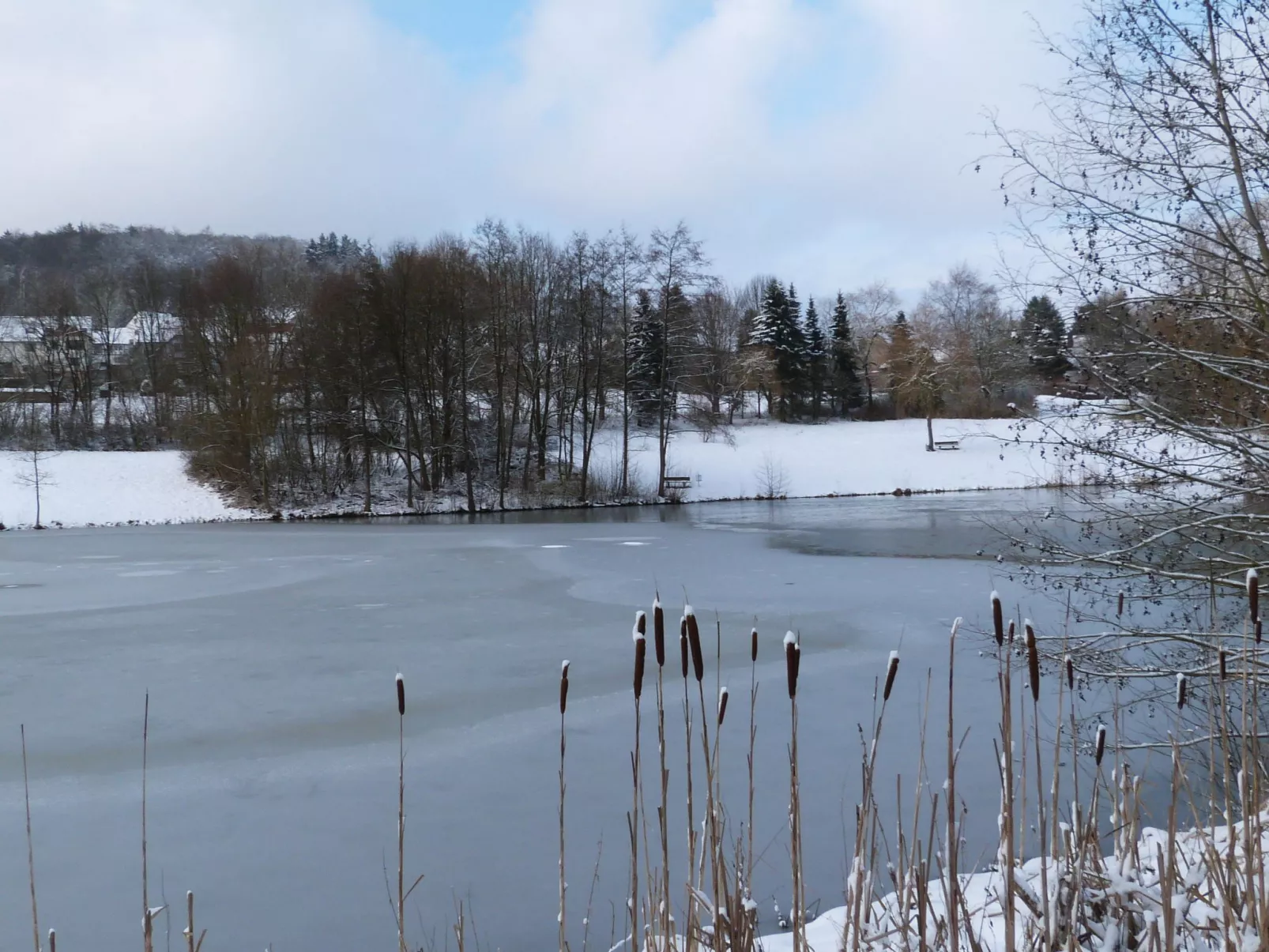 Andrea-Umgebung