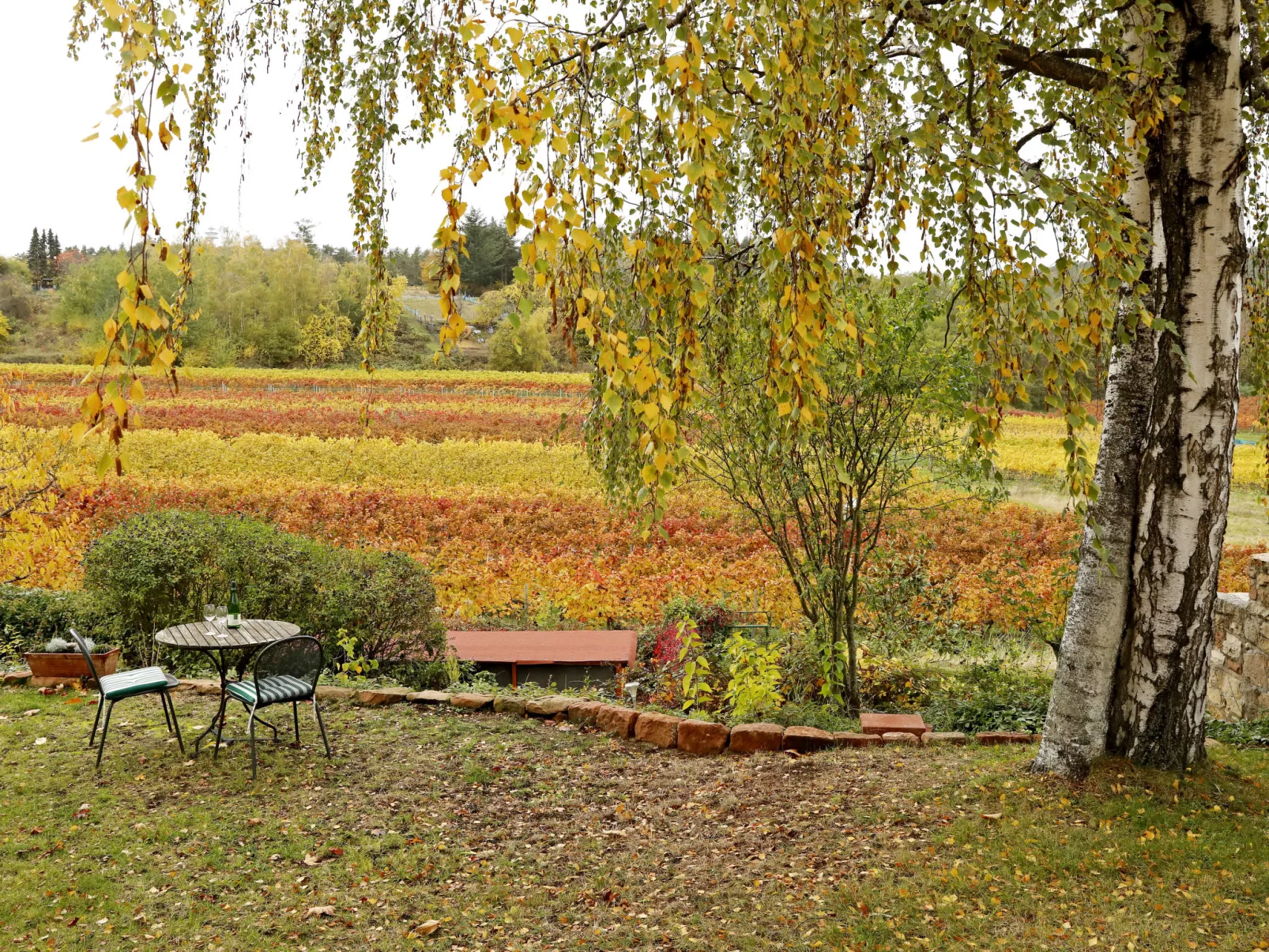 Am Weinberg-Outside