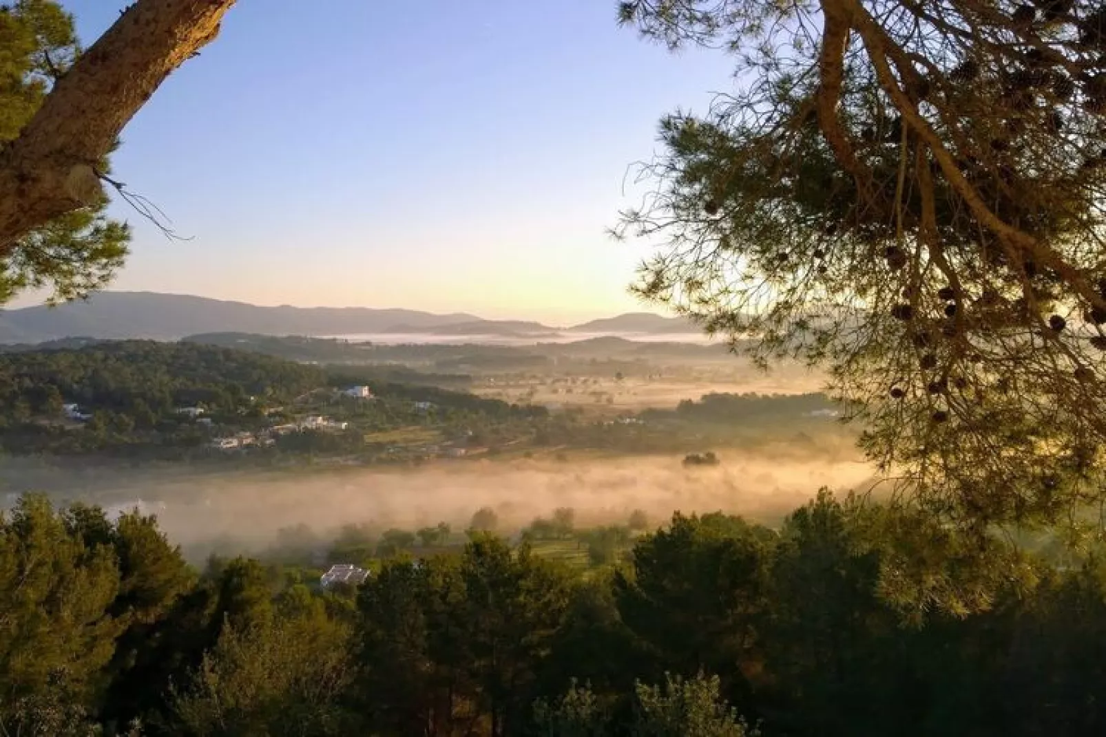 Finca Planetas-Untagged