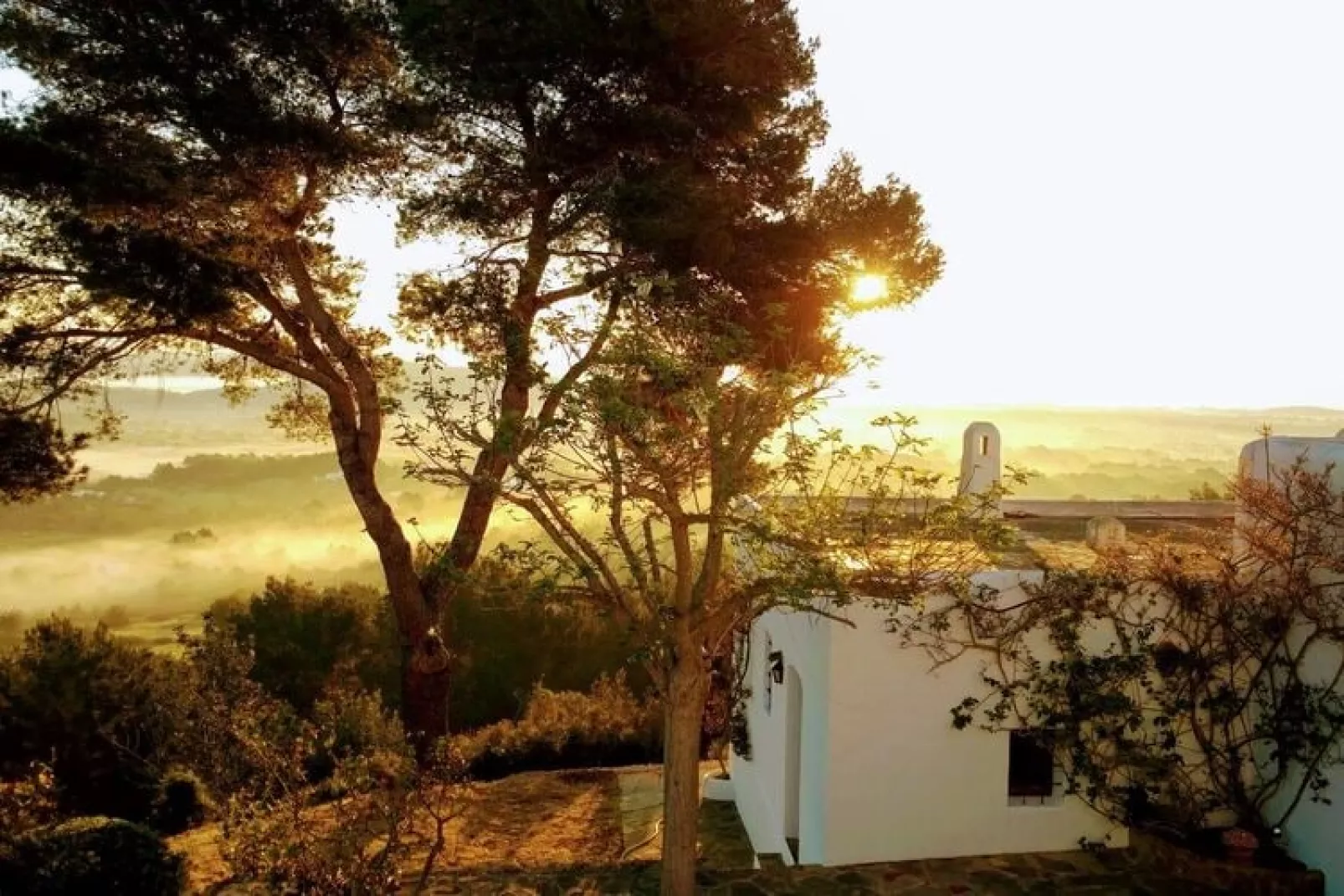 Finca Planetas-Untagged