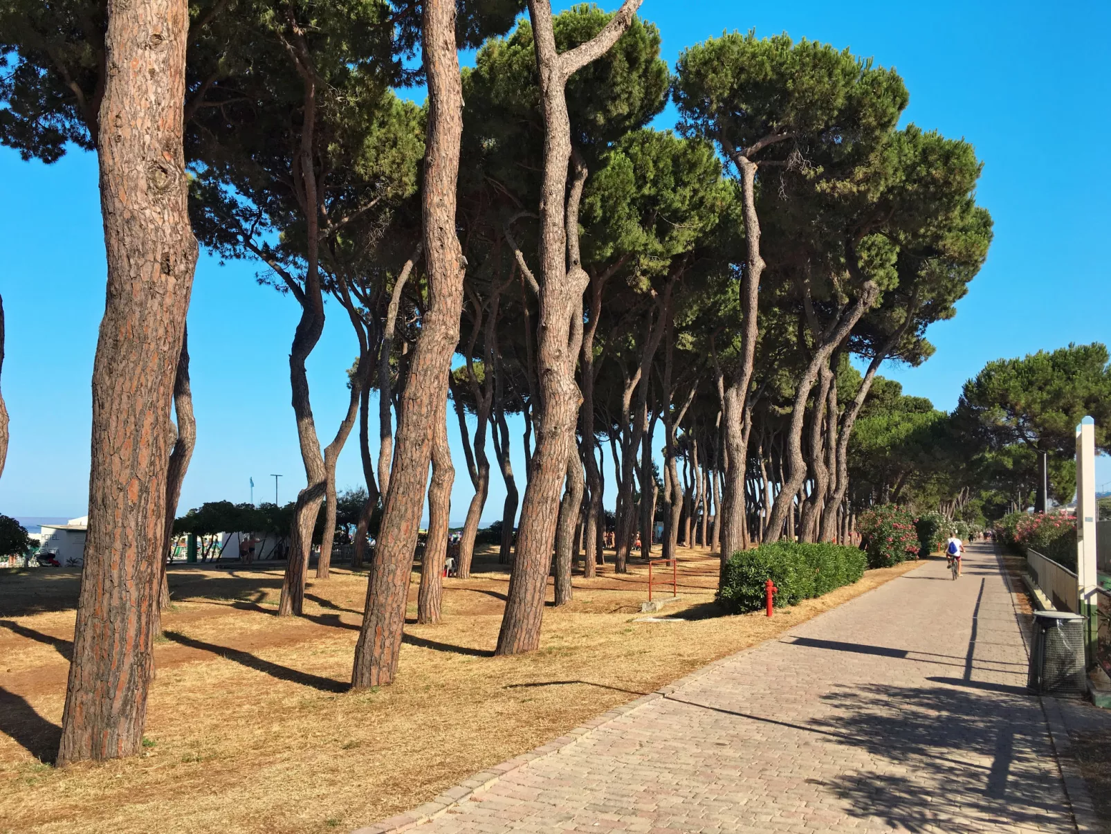 Le Querce (PIT550)-Environnement