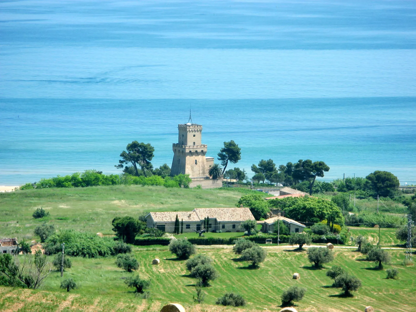 Michela-Area