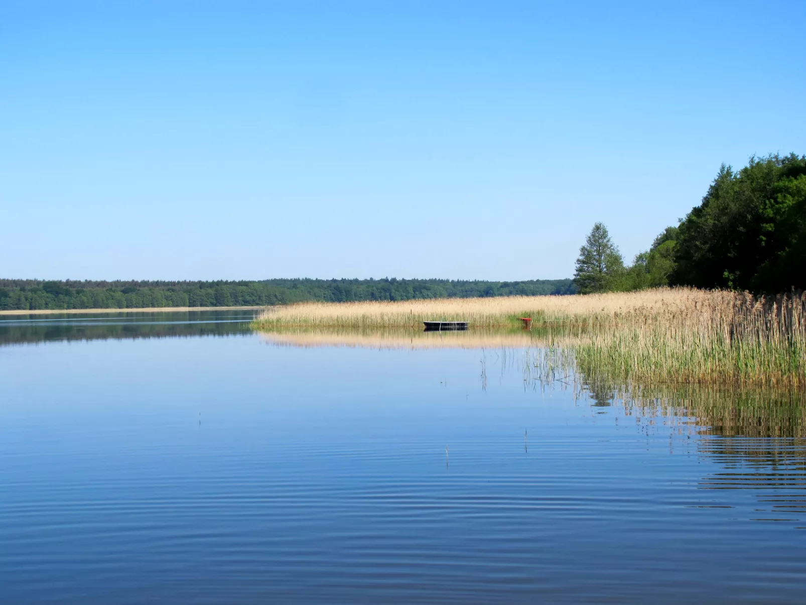 Wald und See-Inside