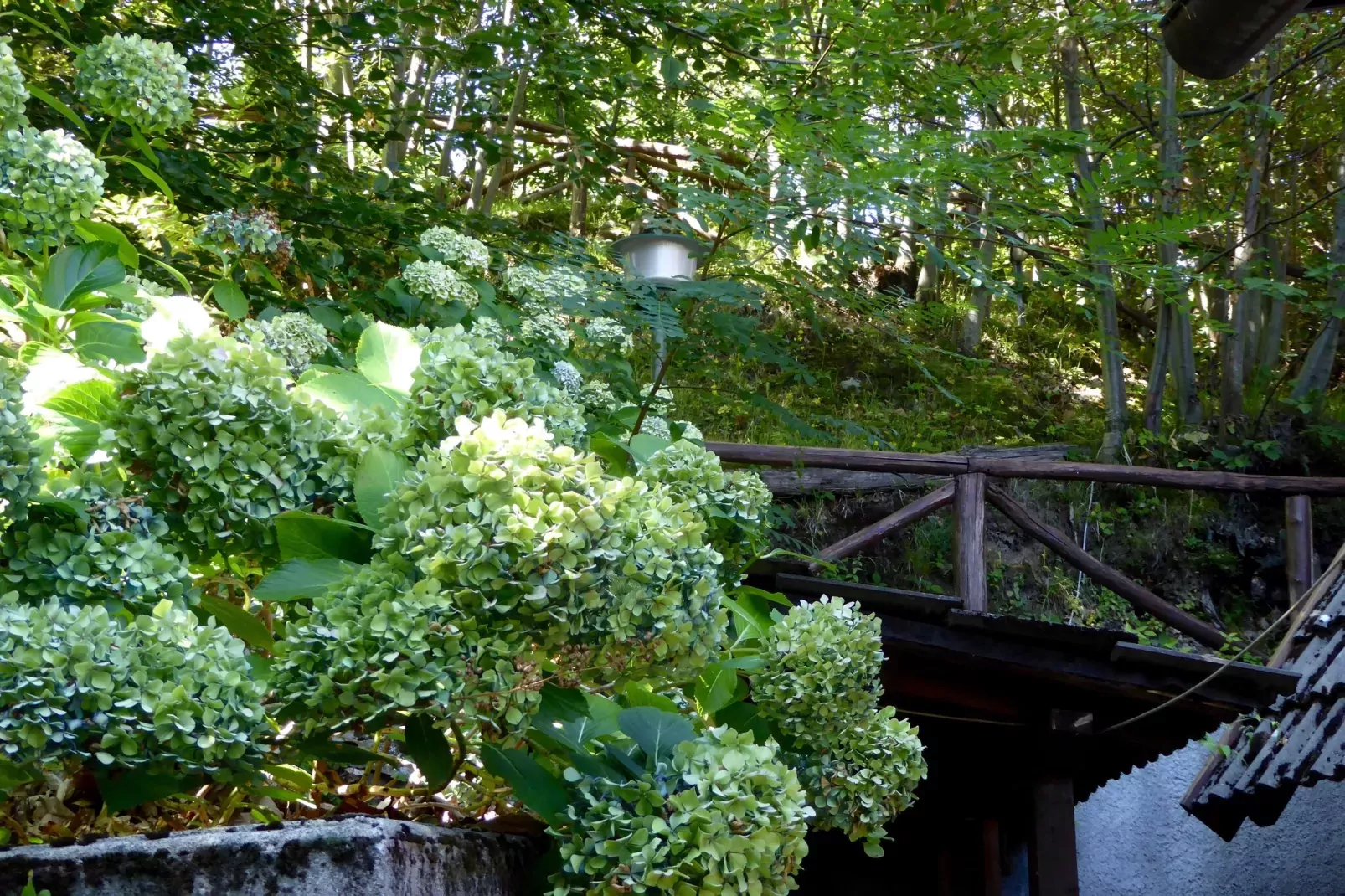 Chalet Appennino-Gardens summer