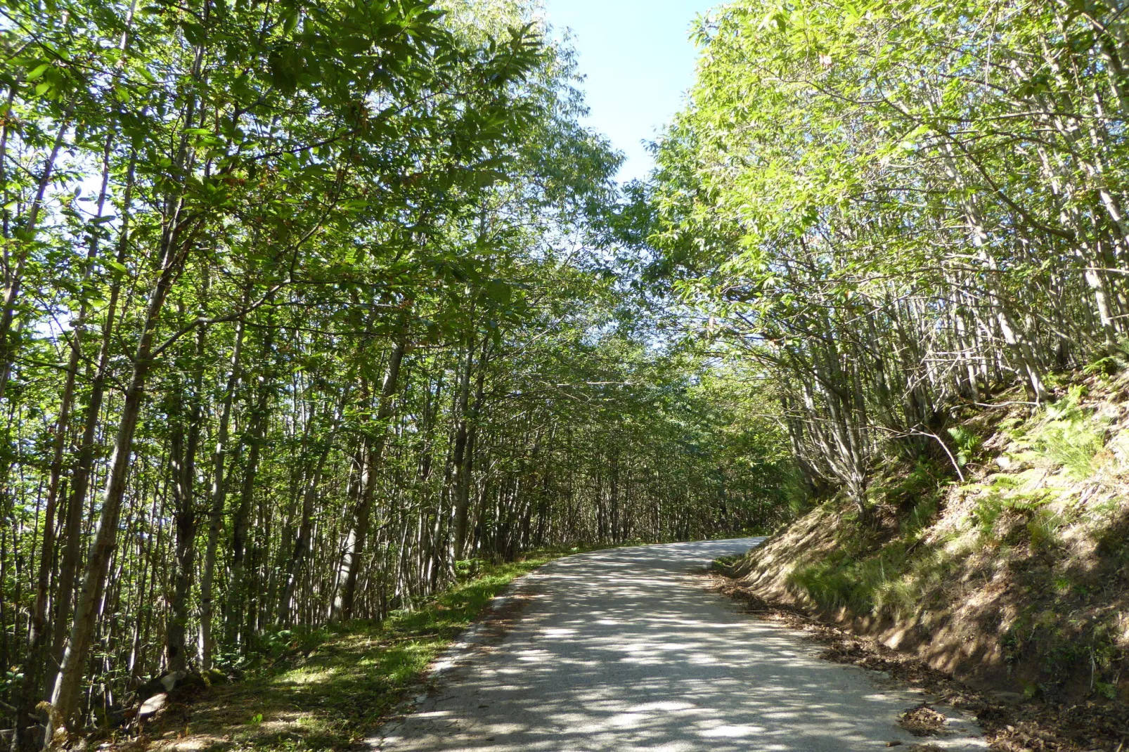 Chalet Appennino-Areas summer 1km