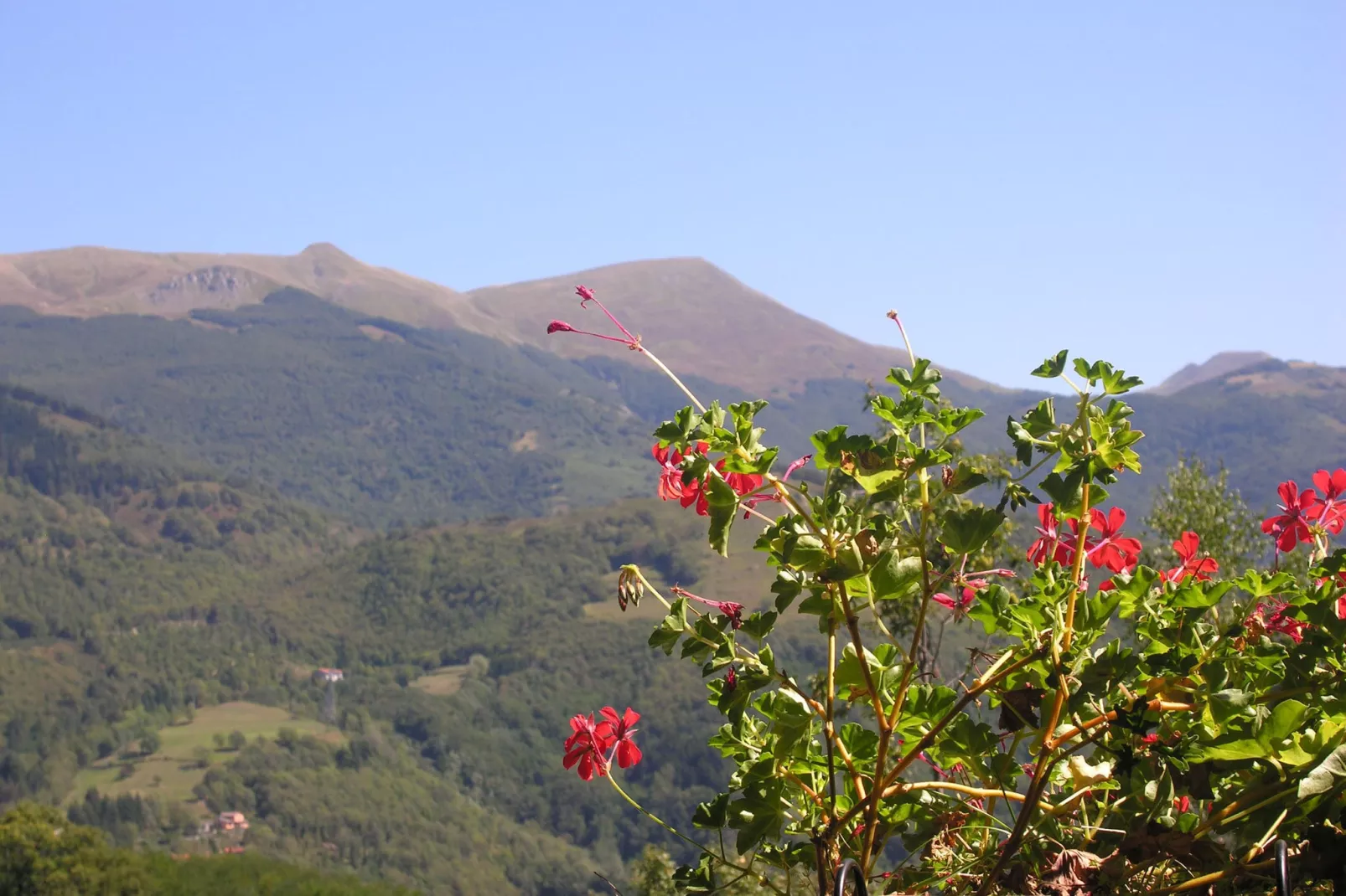 Chalet Appennino-Areas summer 1km