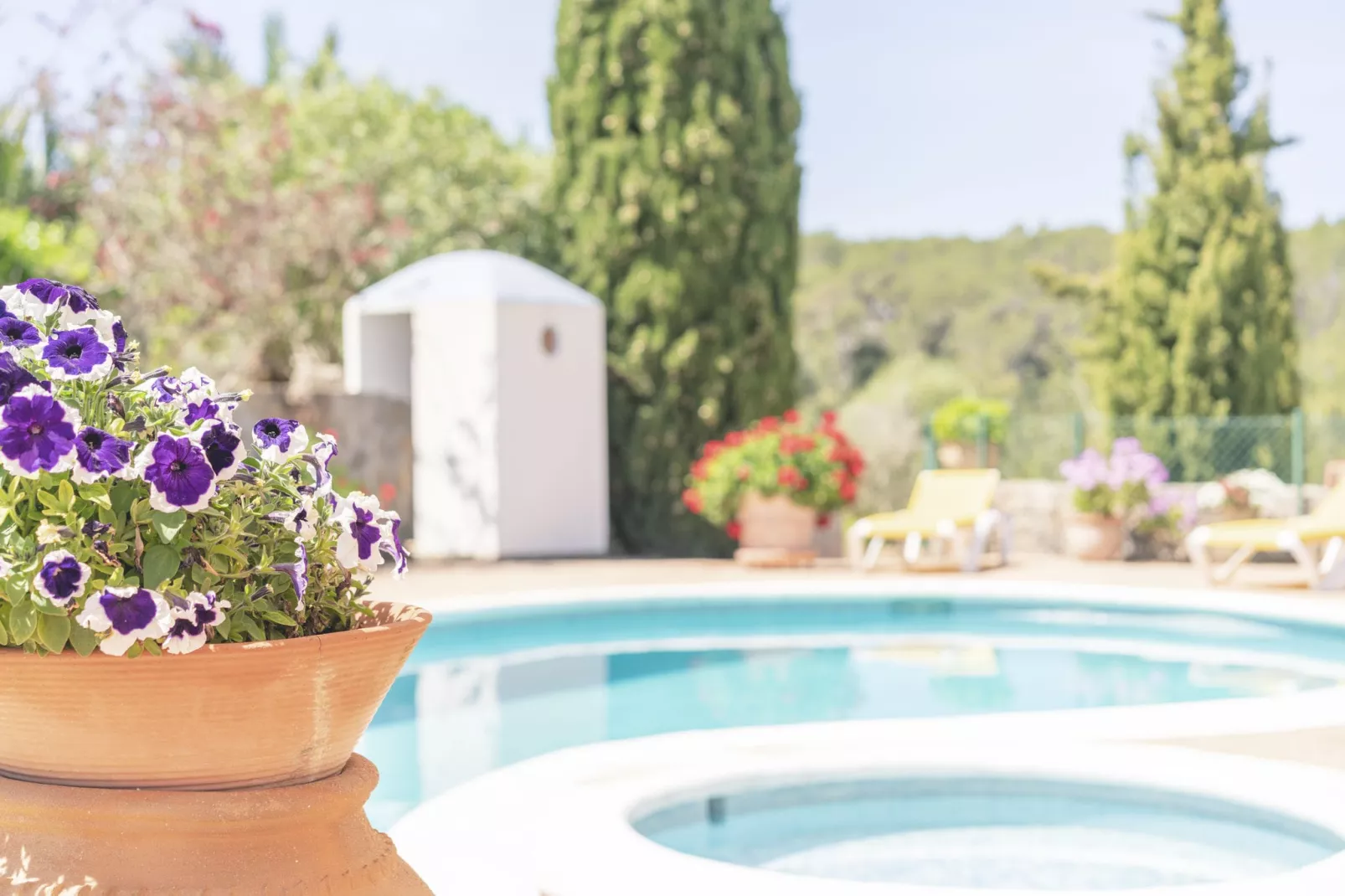 Can Vich II-Ambiance