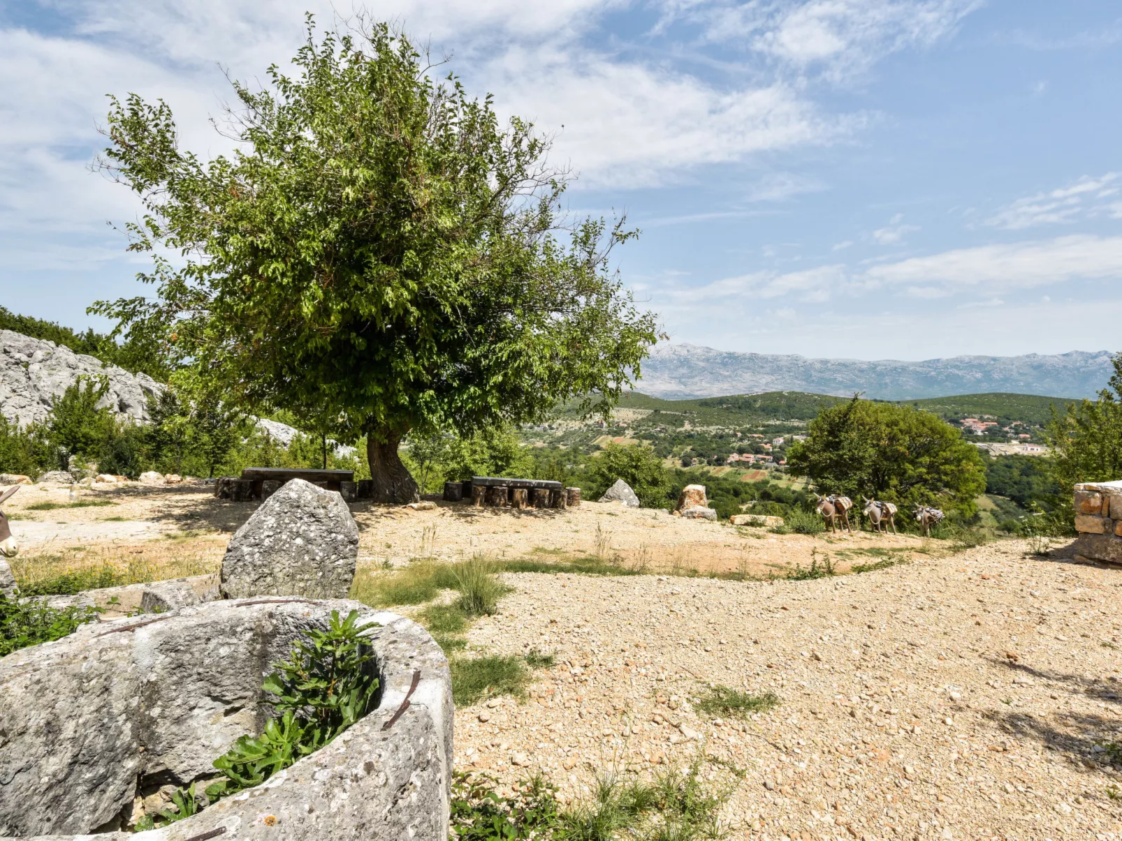 Villa Luka-Outside