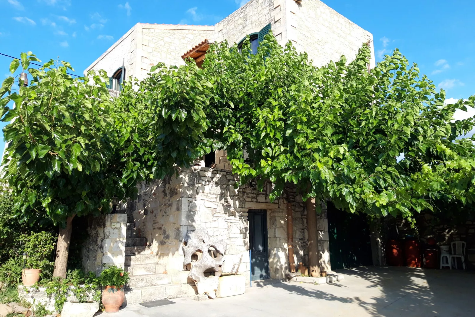 Villa Alon-Ambiance