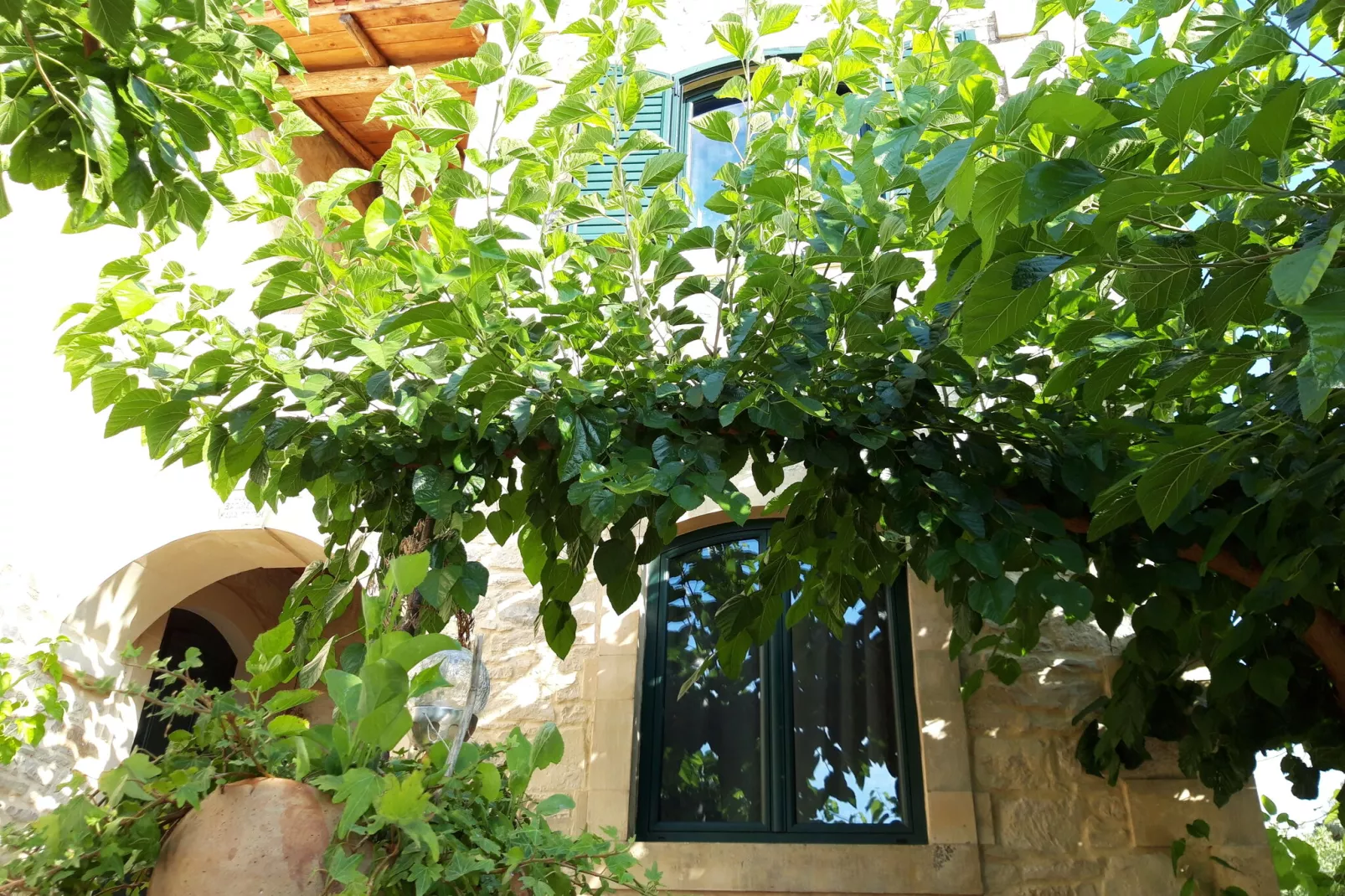 Villa Alon-Ambiance