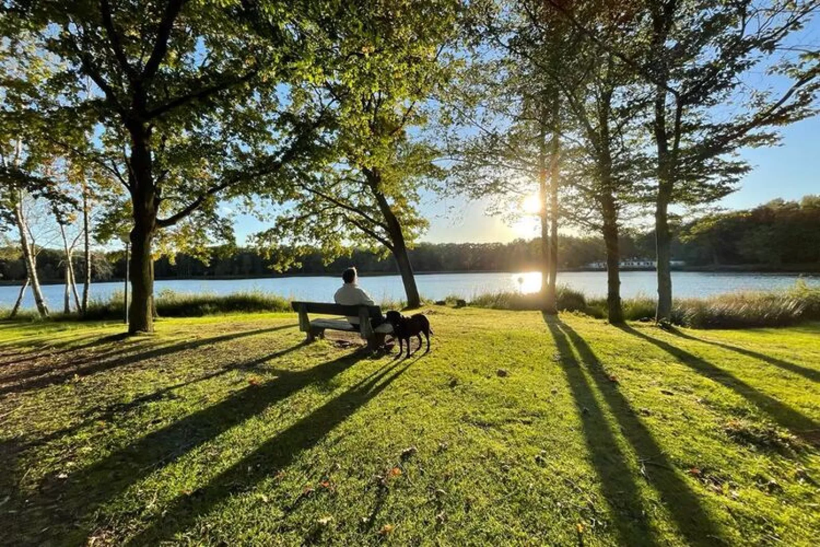 Sonnevijver NR A50-Zones d'été à 20 km