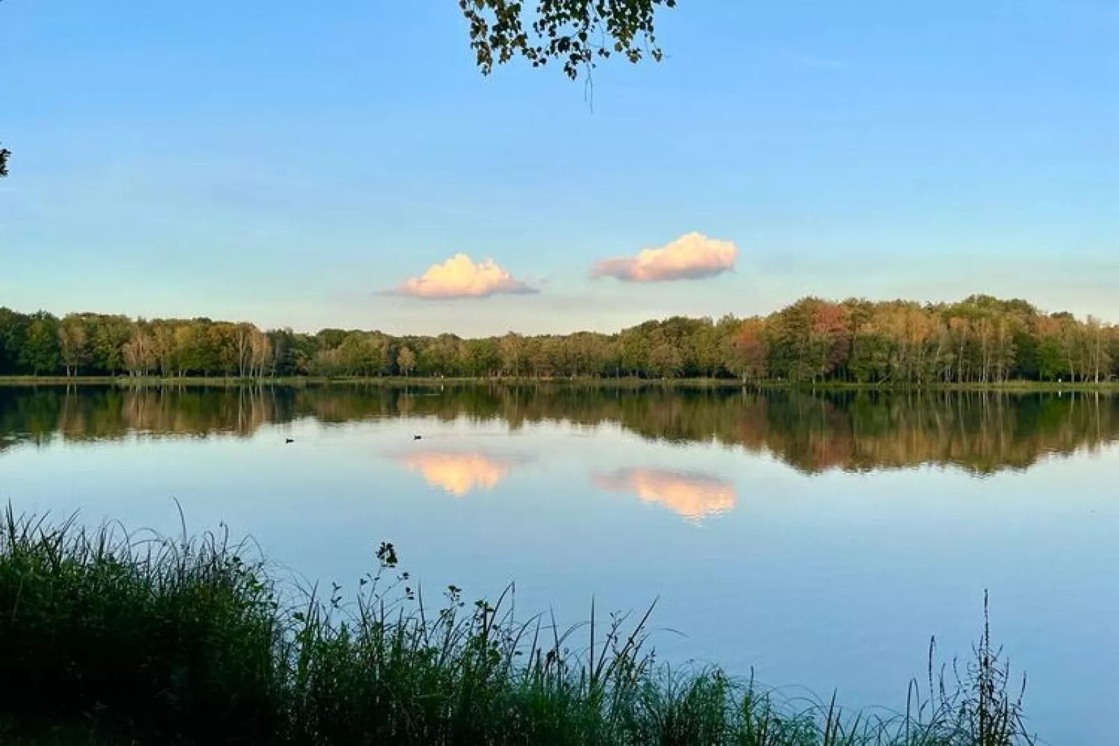 Sonnevijver NR A50-Zones d'été à 20 km