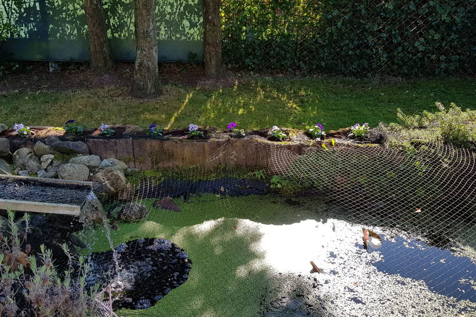 Sonnevijver NR A50-Ambiance