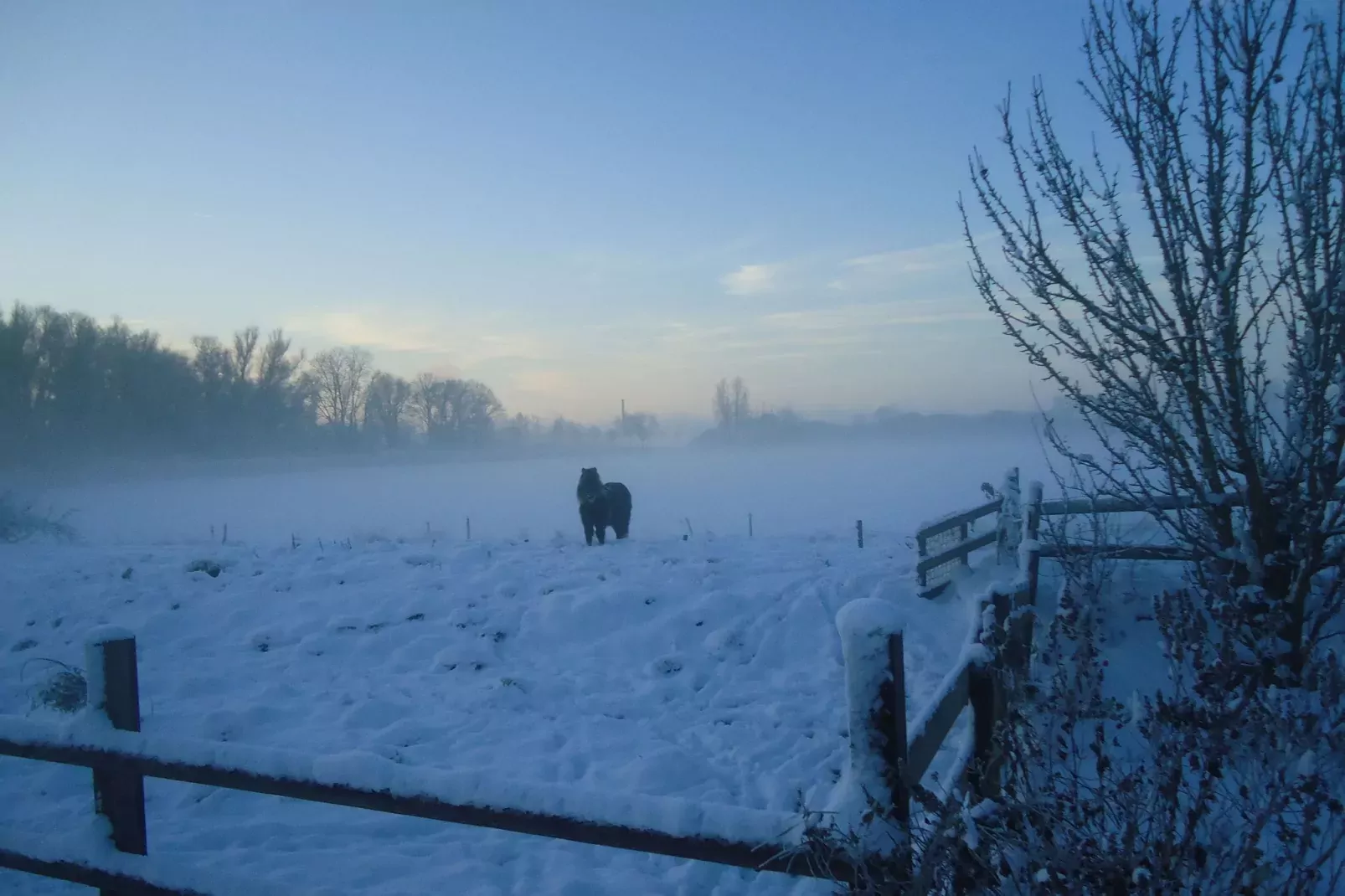 Het Rijk van Elten en Spijk-Exterior winter