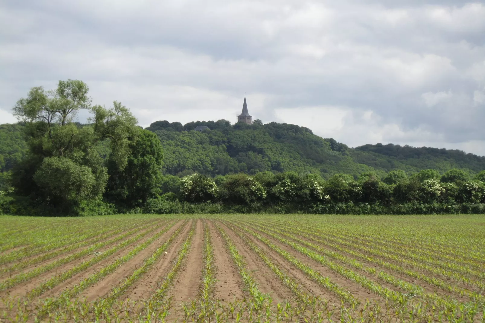 Het Rijk van Elten en Spijk-View summer