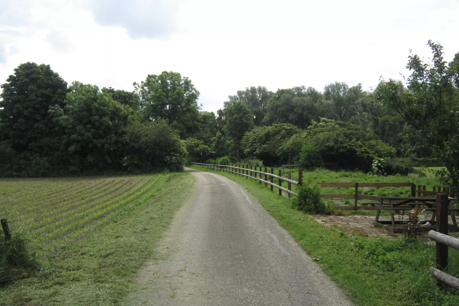 Het Rijk van Elten en Spijk-Areas summer 1km
