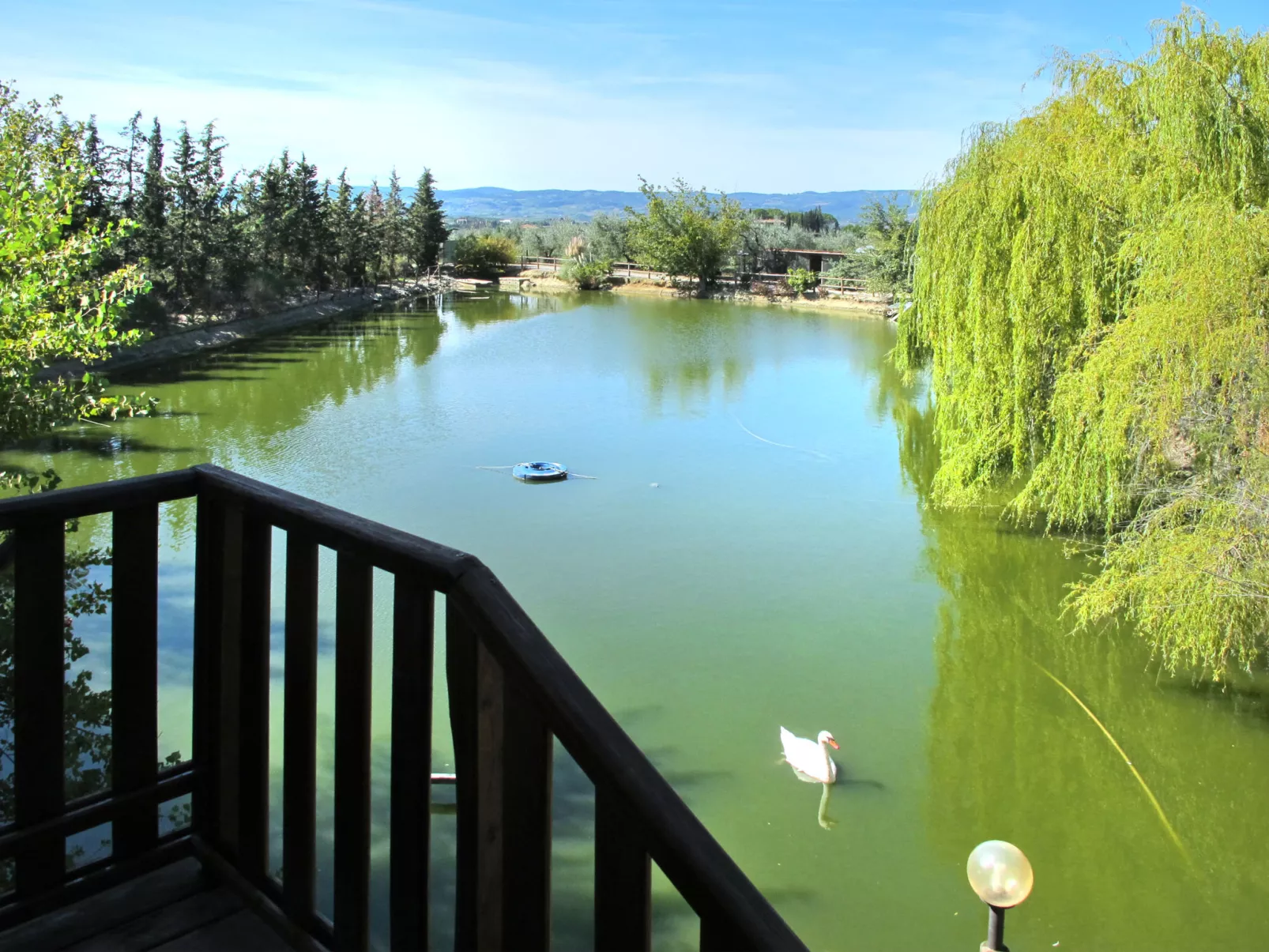 Panorama (CET125)-Outside