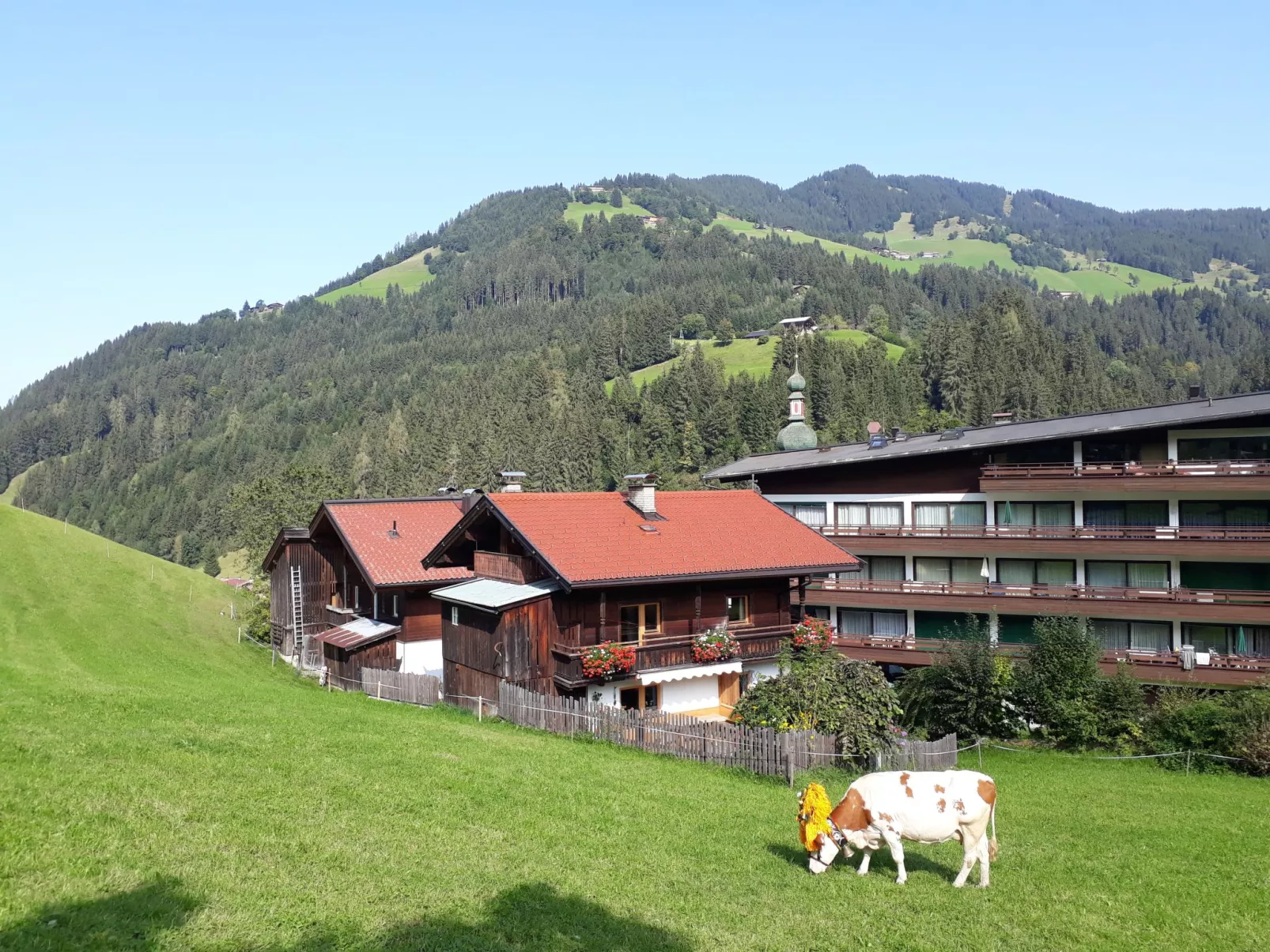 Sonnheim-Outside