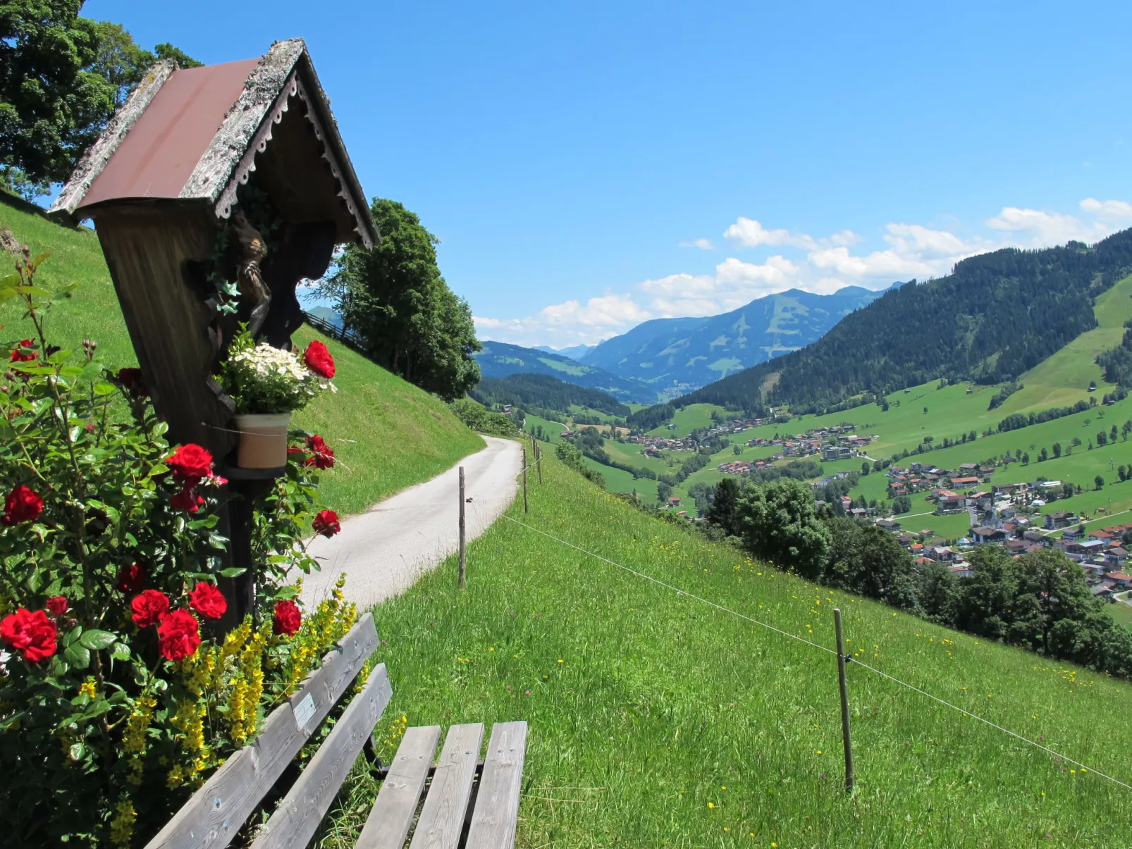 Sonnheim-Area