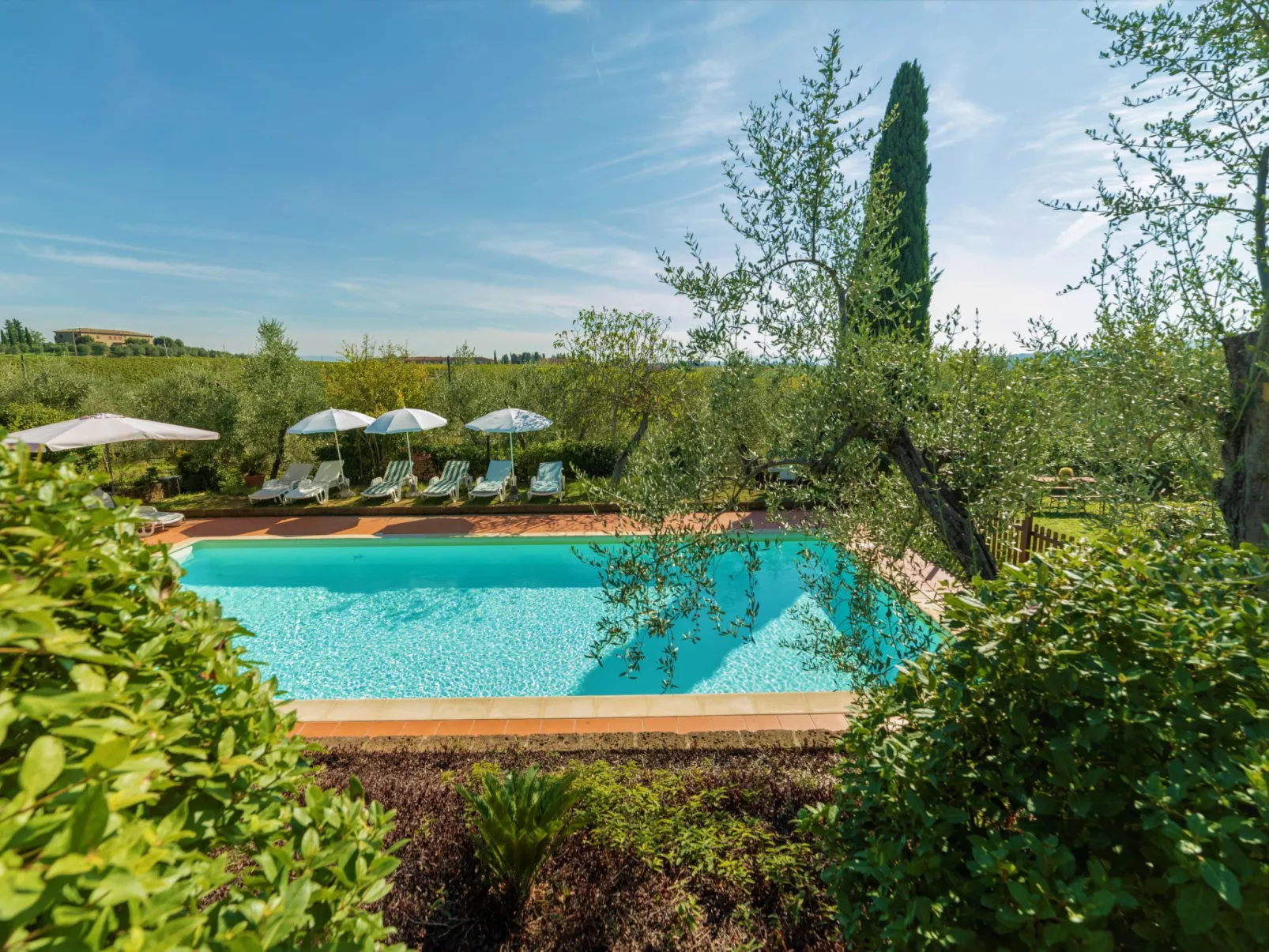 Podere San Michele-Outside