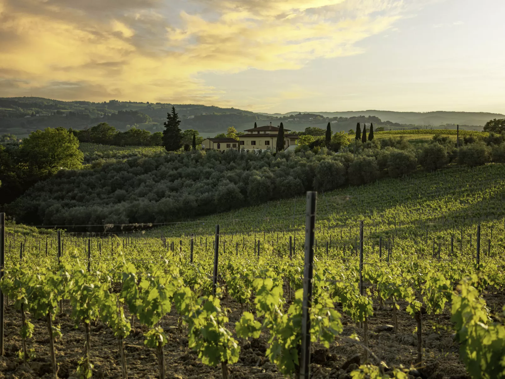 Podere San Michele-Outside