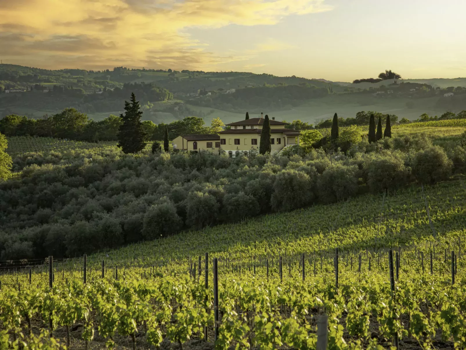 Podere San Michele-Outside
