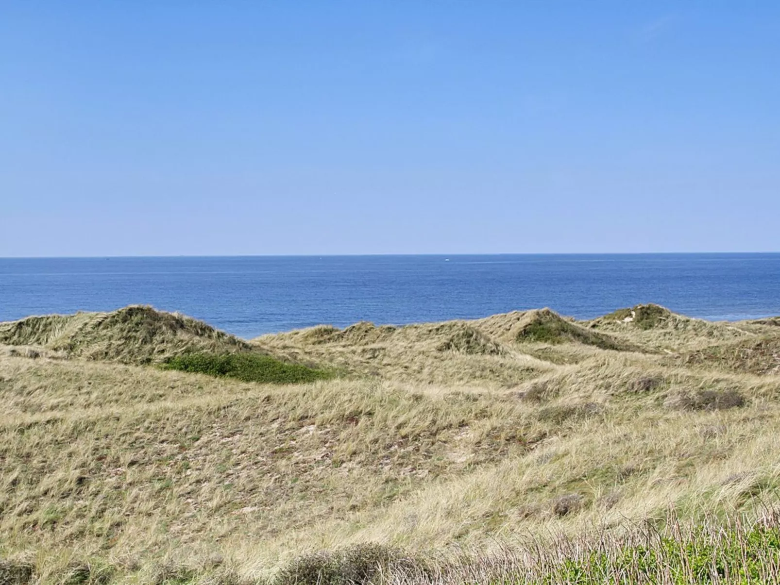 "Mafalda" - 260m from the sea-Draußen
