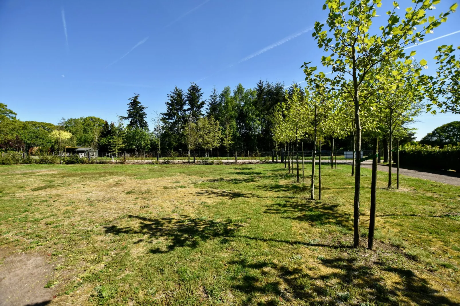 De Veluwse Vrijheid-View summer