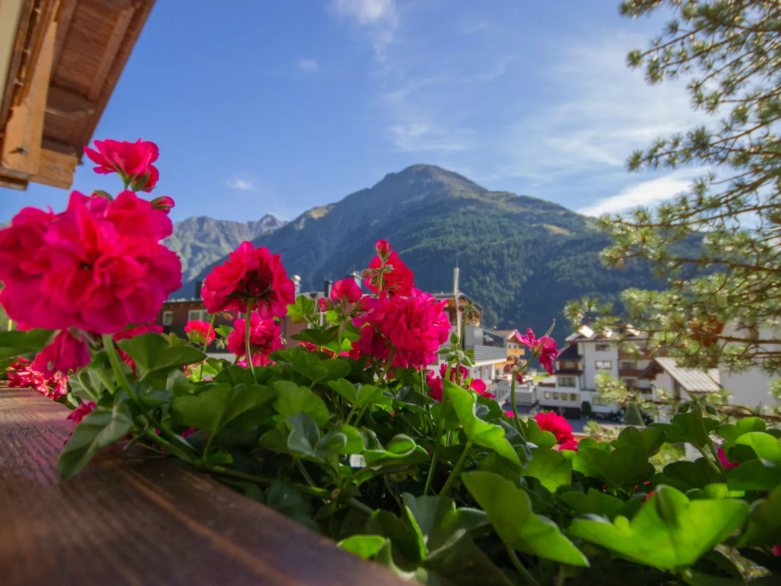 Alpin-Dehors